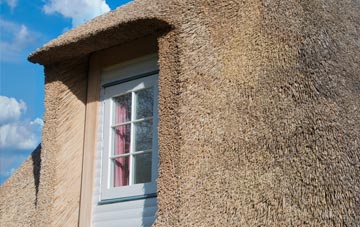 Lineholt thatch roof disadvantages