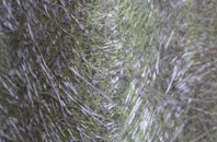 Lineholt fibreglass roof work